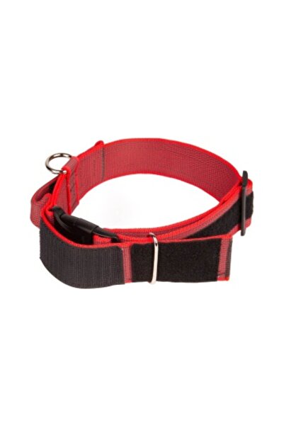 Julius K9 JK9 Color & Gray Collar, Handle and Safety Lock - 50mm - Red