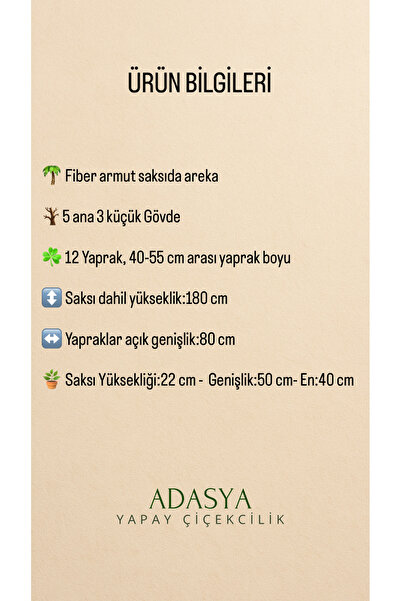 ADASYA ÇİÇEK Yapay Areka Ağacı 180 Cm 12 Yaprak Beyaz Fiber Armut Saksıda