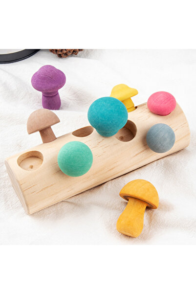 Choice كما هو موضح في لعبة قطف الفطر الخشبية من مكعبات قوس قزح للأطفال، ألعاب...