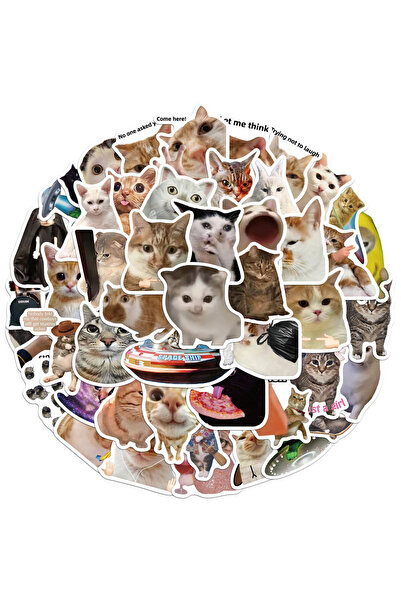 Choice 50 قطعة من ملصقات ميم القطط الشائعة من Creative Network، ملصقات جرافيت...
