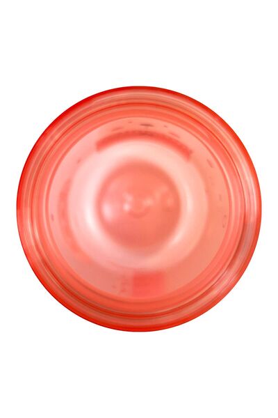 ZUZUNGA Cute Bear Printed Pirate Themed 400 ml Water Bottle / Flask