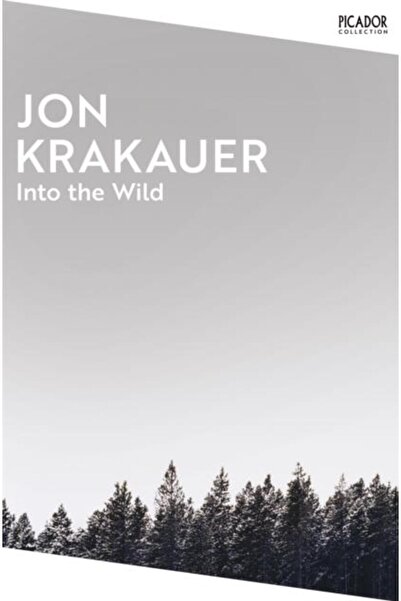Picador În sălbăticie, Jon Krakauer
