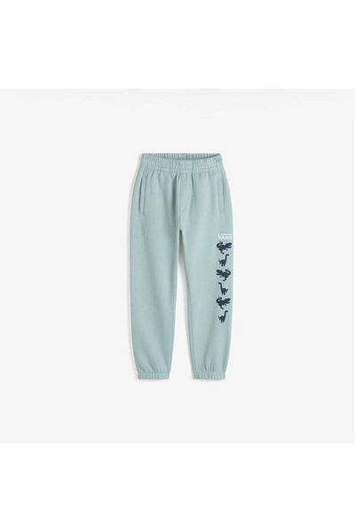 Vans Kd Dino Pants