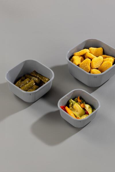 EWs Square 3 Piece Vacuum Sealed Air-Free Storage Container Set Smoked (1800/1100/600 ml)