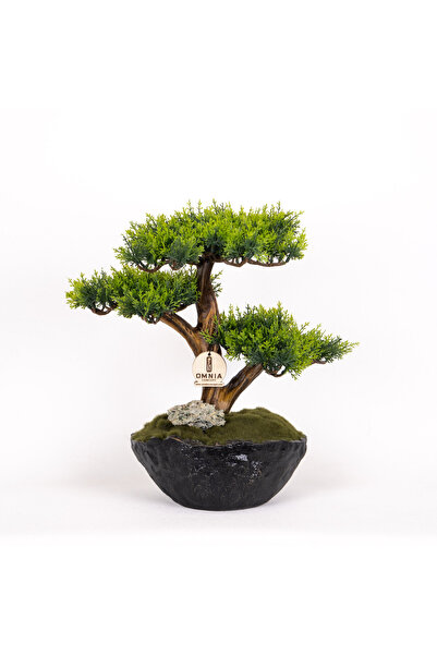 Omnia Concept Calipso Bonsai-1 Masaüstü Kullanıma Uygun Mini Yapay Bonsai Ağa...