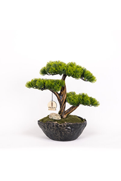 Omnia Concept Calipso Bonsai-3 Masaüstü Kullanıma Uygun Mini Yapay Bonsai Ağa...