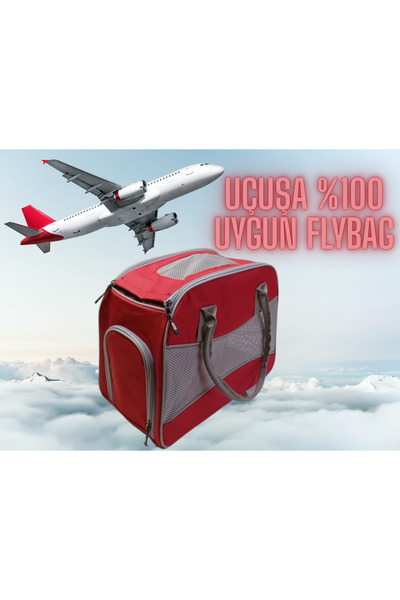 LAVİSTA uçuşa %100 Uygun Olan Kedi ve Köpek Çantası STYLE FLYBAG