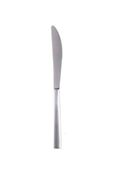 Generic Table Knife Silver