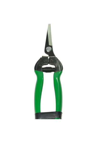 SepetBudur 429E5 - Flat Blade Citrus Lice 184 mm