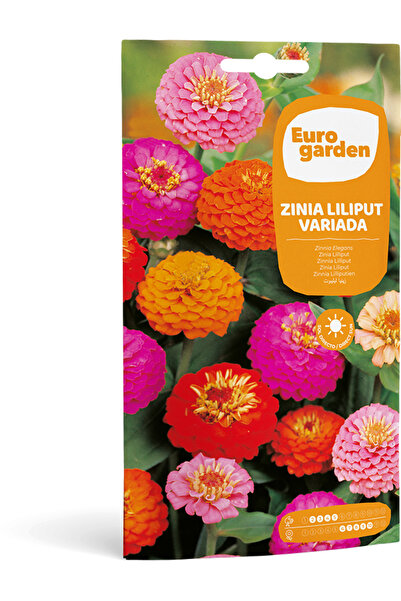 EURO GARDEN Zinia Liliput (Zinia Liliput Variada) بذور عالية الجودة مصنوعة في...