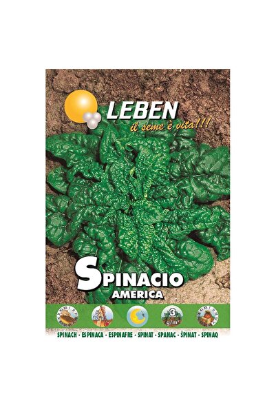 Leben بذور السبانخ (Spinacio America) عالية الجودة مصنوعة في إيطاليا