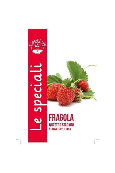 Leben بذور الفراولة (فراجولا كواترو ستاجيوني) عالية الجودة مصنوعة في إيطاليا
