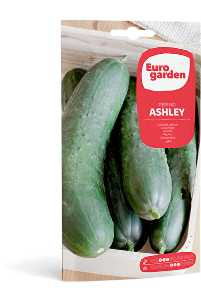 EURO GARDEN بذور خيار (بيبينو آشلي) عالية الجودة مصنوعة في إسبانيا