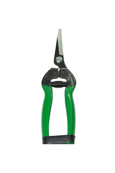 SepetBudur Eltu 429E5 - Flat Blade Citrus Shears 184 mm