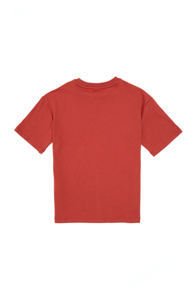 U.S. Polo Assn. Boy's Dusty Rose Crew Neck T-Shirt 50314961-Vr026