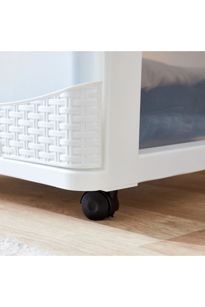 Home Box Kevin 4-Tier Rattan Storage Cabinet