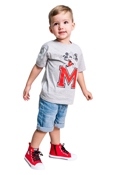 Mickey Mouse Children's t-shirt 100% cotton, gray, Mickey Mouse, Disney