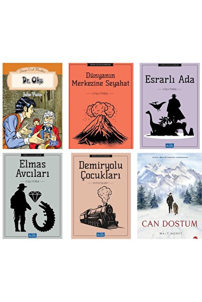 Beyaz Balina Yayınları Ortaokul Okuma SetCan Dostumi