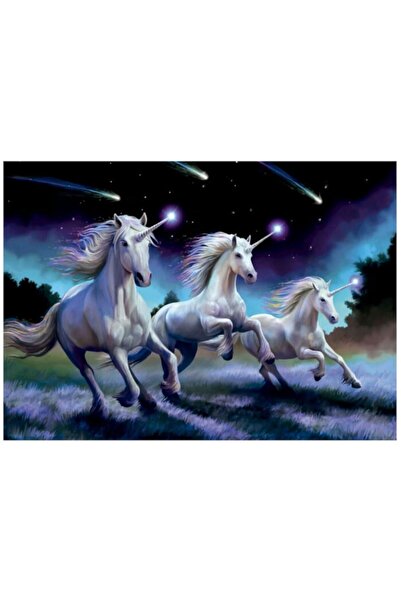 EDUCA Παζλ, Εκπαιδευτικό, Πέφτοντας Αστέρια, Anne Stokes, 1000 κομμάτια