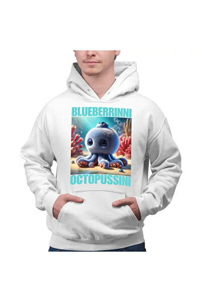 OEM Hanorac Barbati Brainrot Blueberrinni Octopussini