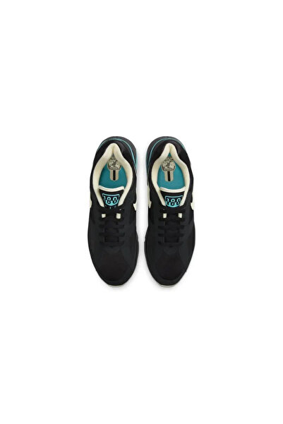 Nike Air 180 Black Dusty Cactus FJ9259-001