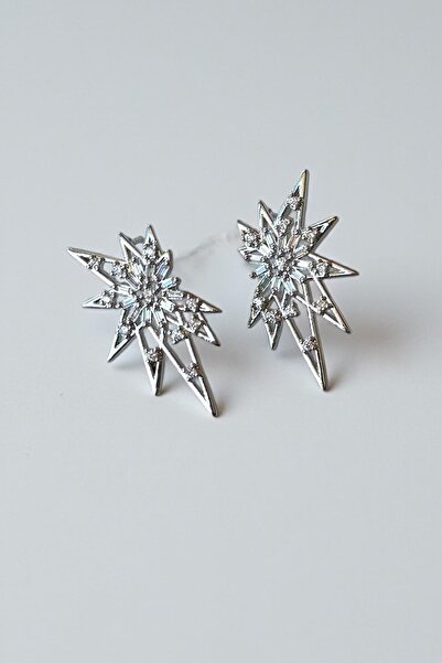 TAKIŞTIR Silver Color Stone Detailed Metal Earrings (Pair)