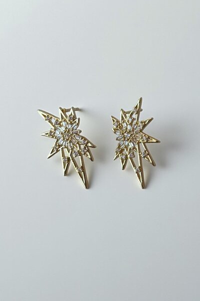 TAKIŞTIR Gold Color Stone Detailed Metal Earrings (Pair)
