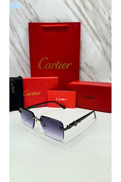 Cart Distinctive and elegant Cartier sunglasses