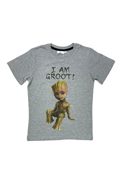 Marvel Kids T-shirt, 100% cotton, gray, I Am Groot, Guardians of the Galaxy