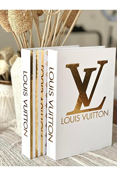 BGV HOME Decorative Book Box Set of 2 (Vl/Vl)