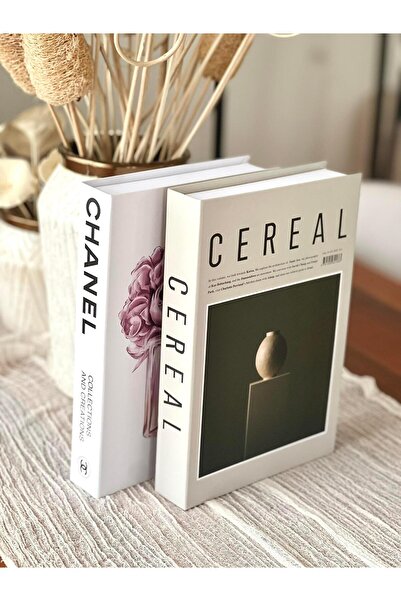 BGV HOME Decorative Book Box Set of 2 (C/N5)