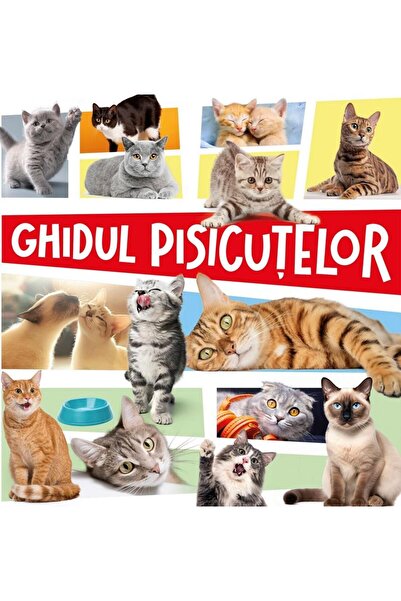 Editura Kreativ Ghidul pisicutelor