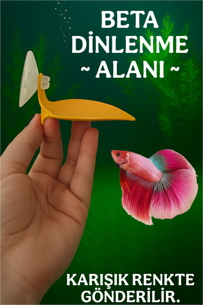 Y×UURA Beta Dinlenme Alanı ( Sarı - Yeşil ) Beta Dinlenme Yapragı • Mini Akva...