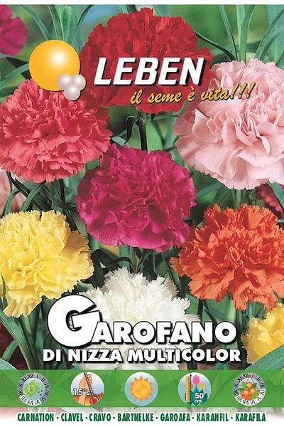 Leben Carnation (Garofano Di Nizza Multicolor) Premium Quality Seeds Made in Italy