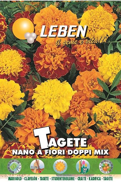 Leben Marigold (Tagete Nano A Fiori Doppi Mix) Premium Quality Seeds Made in Italy