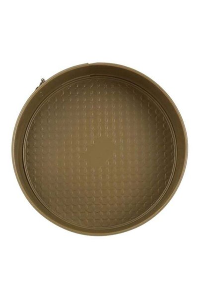 Generic Bake right Pro Baking Pan Brown 24cm