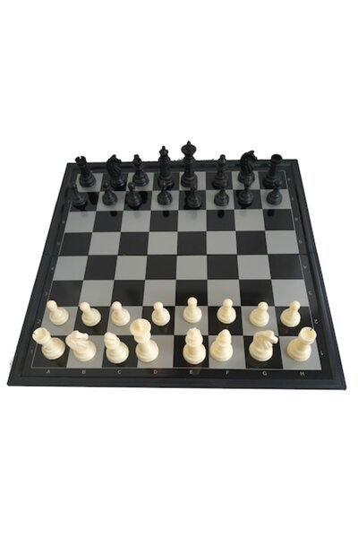 Claum Magnetic Chess Set in Plastic Box 25x25 cm, Black and White,