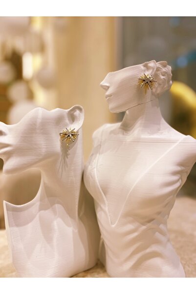 GIFTPALACE Kutup Yıldızı Desen 14K Altın Renk Kararmaz Çelik Küpe – Işıltılı Modern Tasarım 1 Çift