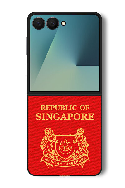 Theodor جراب متوافق مع هاتف Samsung Galaxy Z Flip 7، غطاء حماية مقاوم للصدمات، جواز سفر سنغافورة