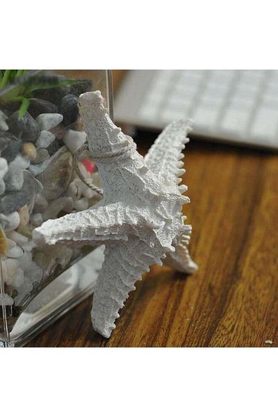 Generic YINZUO YINZUO Decorative Starfish Wall Hanging of White, Blue & Sky Blue Plastic Fiber Sea Star wit