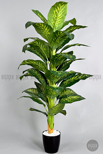 BİÇİÇEK Yapay Difenbahya Ağacı 170-200cm