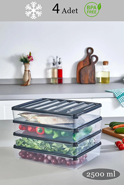 EcoVibe 4 Pieces of 2.5 Liter Storage Containers