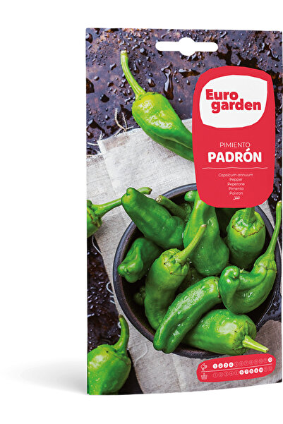 EURO GARDEN بذور فلفل بادرون (بيمينتو بادرون) عالية الجودة مصنوعة في إسبانيا
