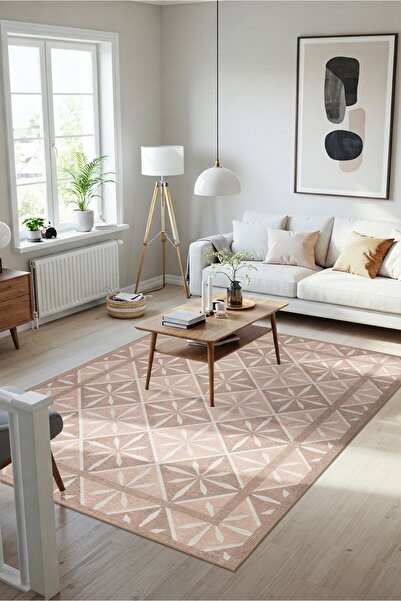 ARTLOOP Nora Pudra Geometrik Desenli Dokuma Tabanlı Modern Şönil Halı AL 505