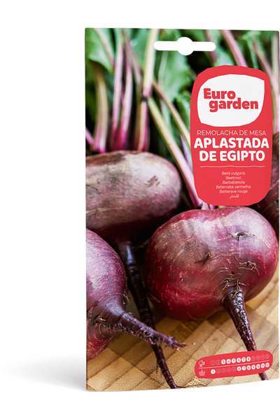 EURO GARDEN بنجر المائدة (بنجر المائدة المطحون من مصر) بذور عالية الجودة مصنو...