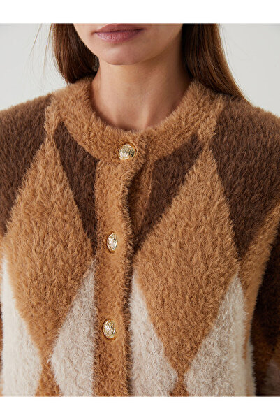 LC Waikiki Bisiklet Yaka Baklava Desenli Kadın Triko Hırka