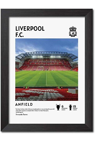 Emoda home Trove لوحات جدارية لملعب ليفربول أنفيلد، مُغلفة بطبقة من البلاستيك...