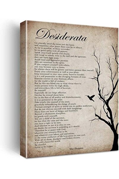 Emoda home Trove Nurawo Positive Desiderata Poem Wall Art Canvas Print