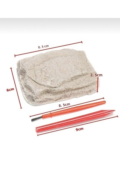 AZİZ OYUNCAK Stegosaurus Genus Skeleton Fossil Dinosaur Excavation Kit 8X9Cm Cardboard Box