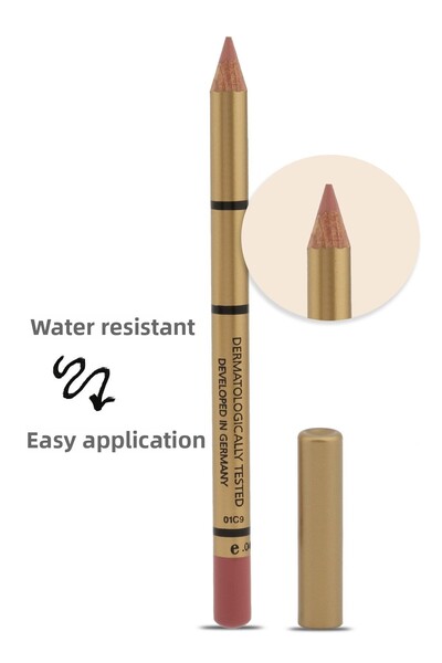 BROOKLIN قلم تحديد الشفاه - قلم تحديد الشفاه رقم: 207 (وردة مجففة)